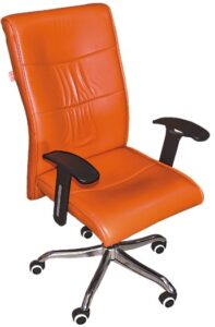 Designer Chair